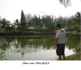 DSC01741.JPG