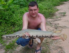 Amazonas See Pat (6).JPG