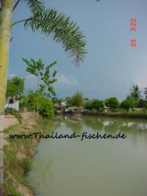 Amazonas See Pat.JPG