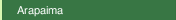 Arapaima