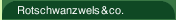 Rotschwanzwels & co.