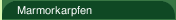Marmorkarpfen